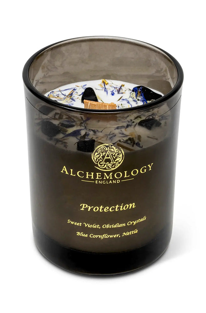 Pet Happiness & Protection Bundle