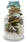 Prosperity and Wealth Spell Jar