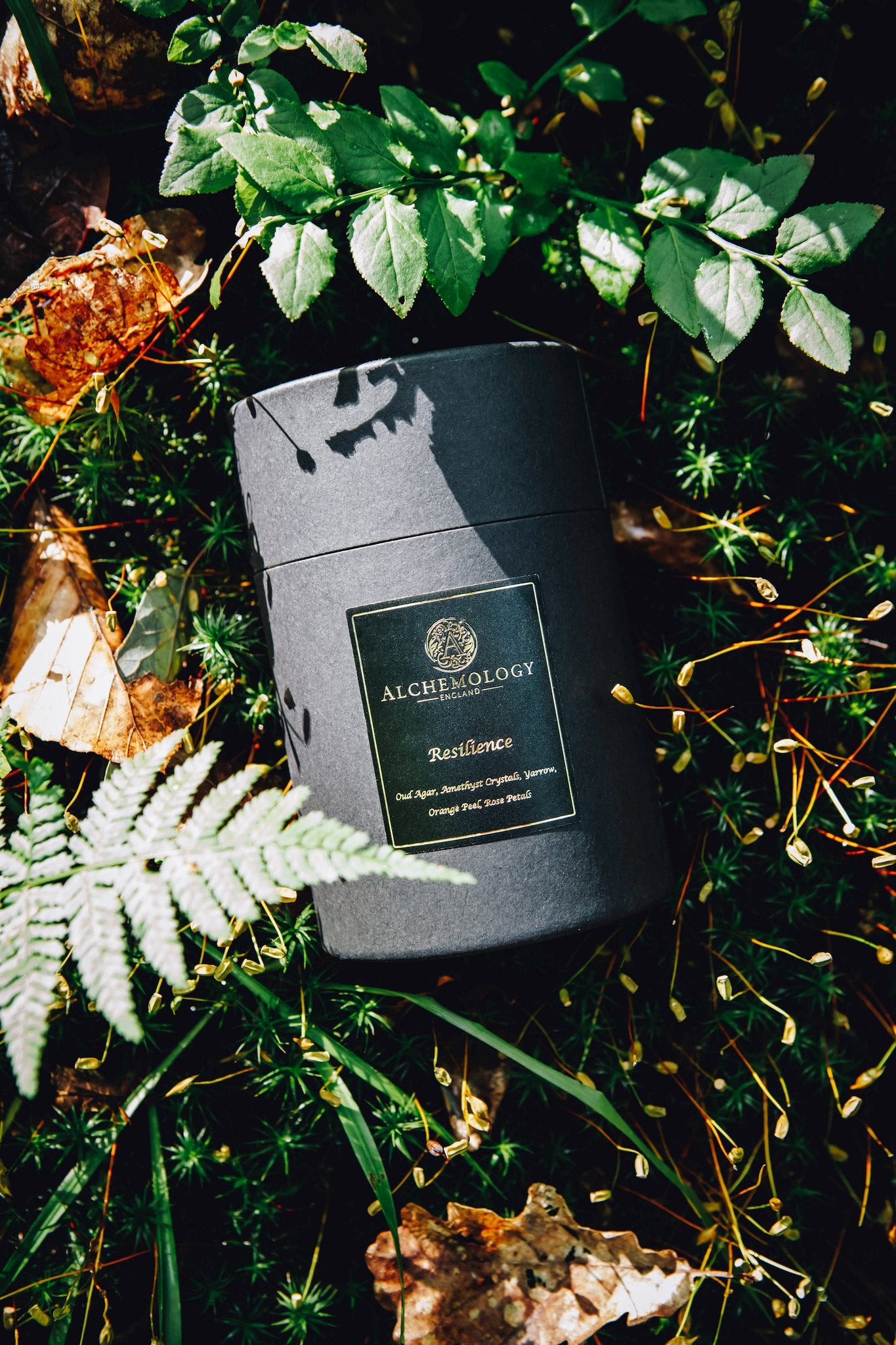 Resilience Threshold Candle